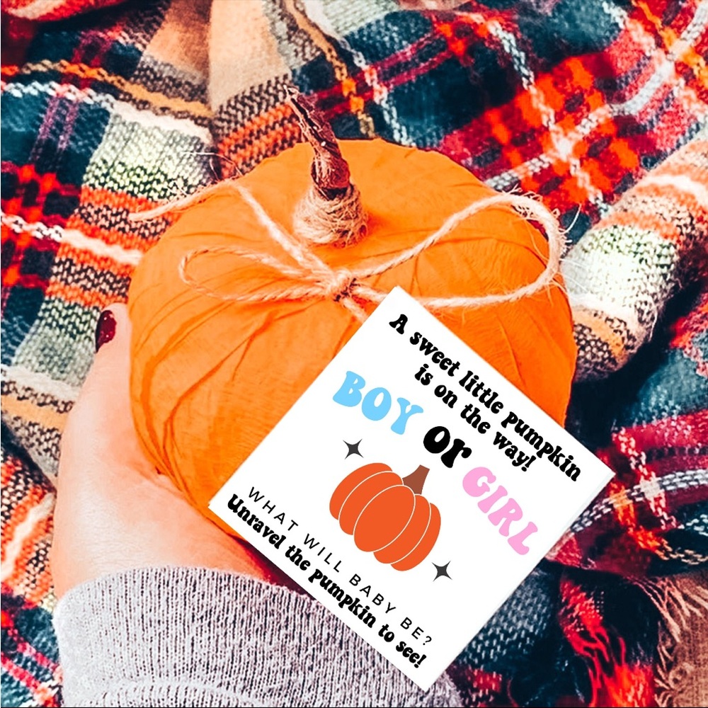 Small Gender Reveal Pumpkin - Boy